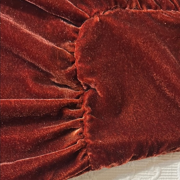 We The Free Free People Velvet Joggers with Billowy Silhouette. NEW. Boho - Picture 4 of 11